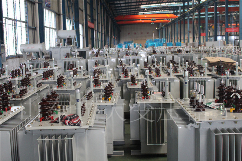 盖州S22-800KVA/10KV